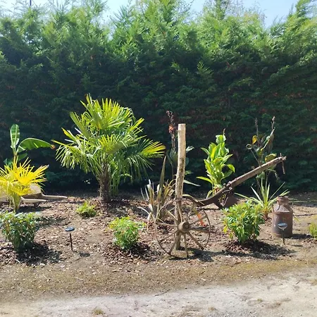 Gite N 4 Du Bas Coudreau Rosnay  Buitenkant foto
